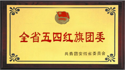 安徽省“五四红旗团委”