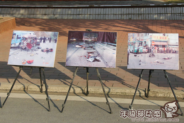 交通安全图片展 004