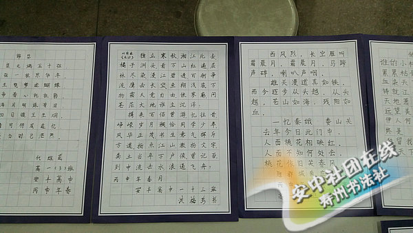 书法社11
