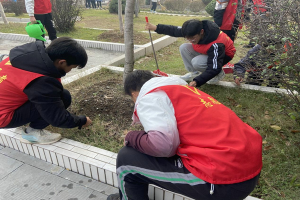 图片2
