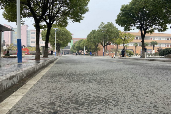 图片11